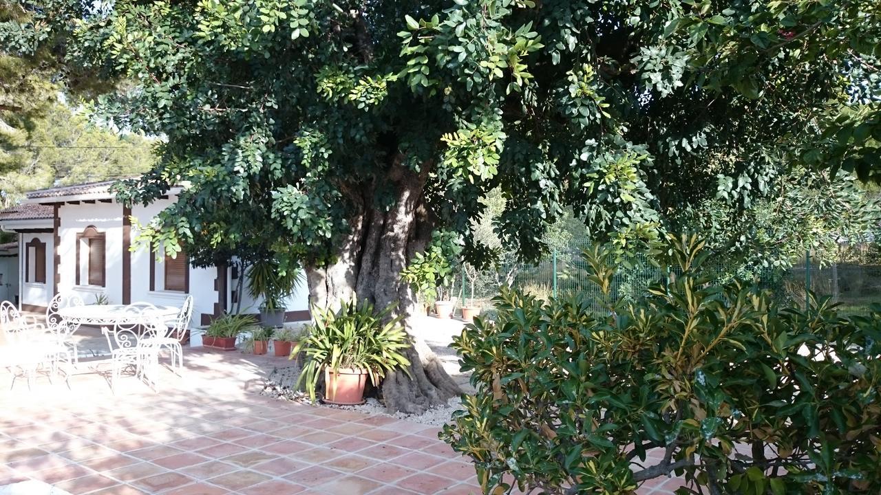 Villa Chabola Denia Exterior foto