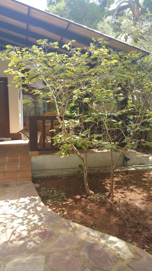 Villa Chabola Denia Exterior foto