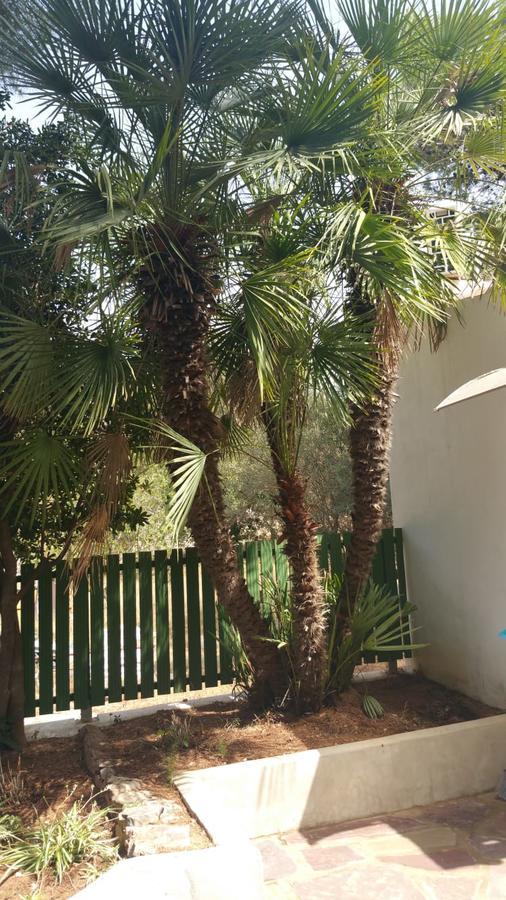 Villa Chabola Denia Exterior foto